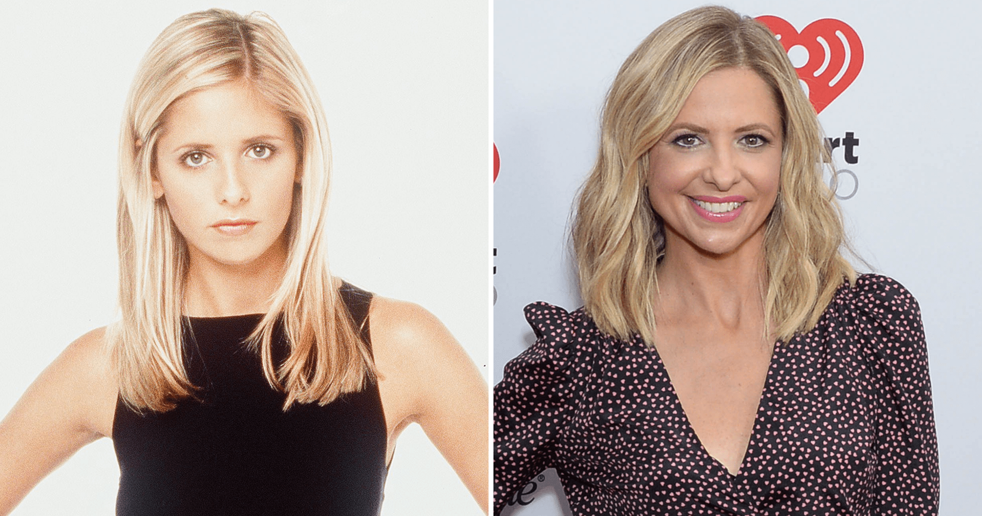 aaliyah ahmed recommends sarah michelle gellar see through top alexandra mosher add sarah michelle gellar see through top image