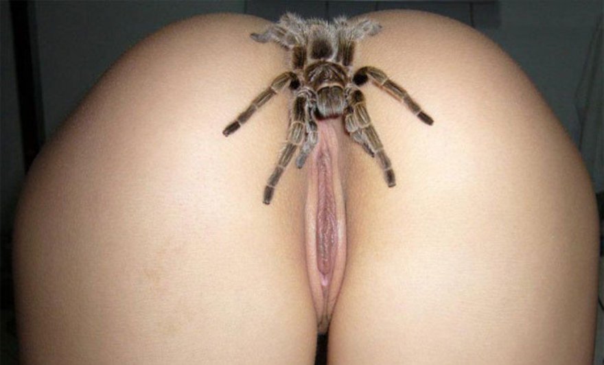 Spider Man Cosplay Porn mature cuckholding jerking off in drive thru