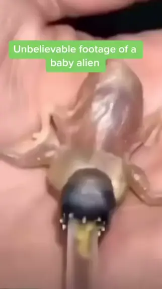 diane st cyr recommends baby alien 4some leaked brittany adamson add baby alien 4some leaked photo