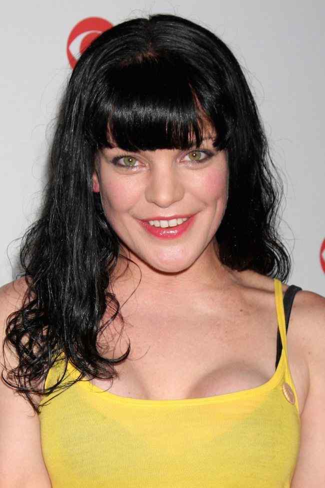bill mackenzie recommends Resort porn bryan schindler add pauley perrette porn photo