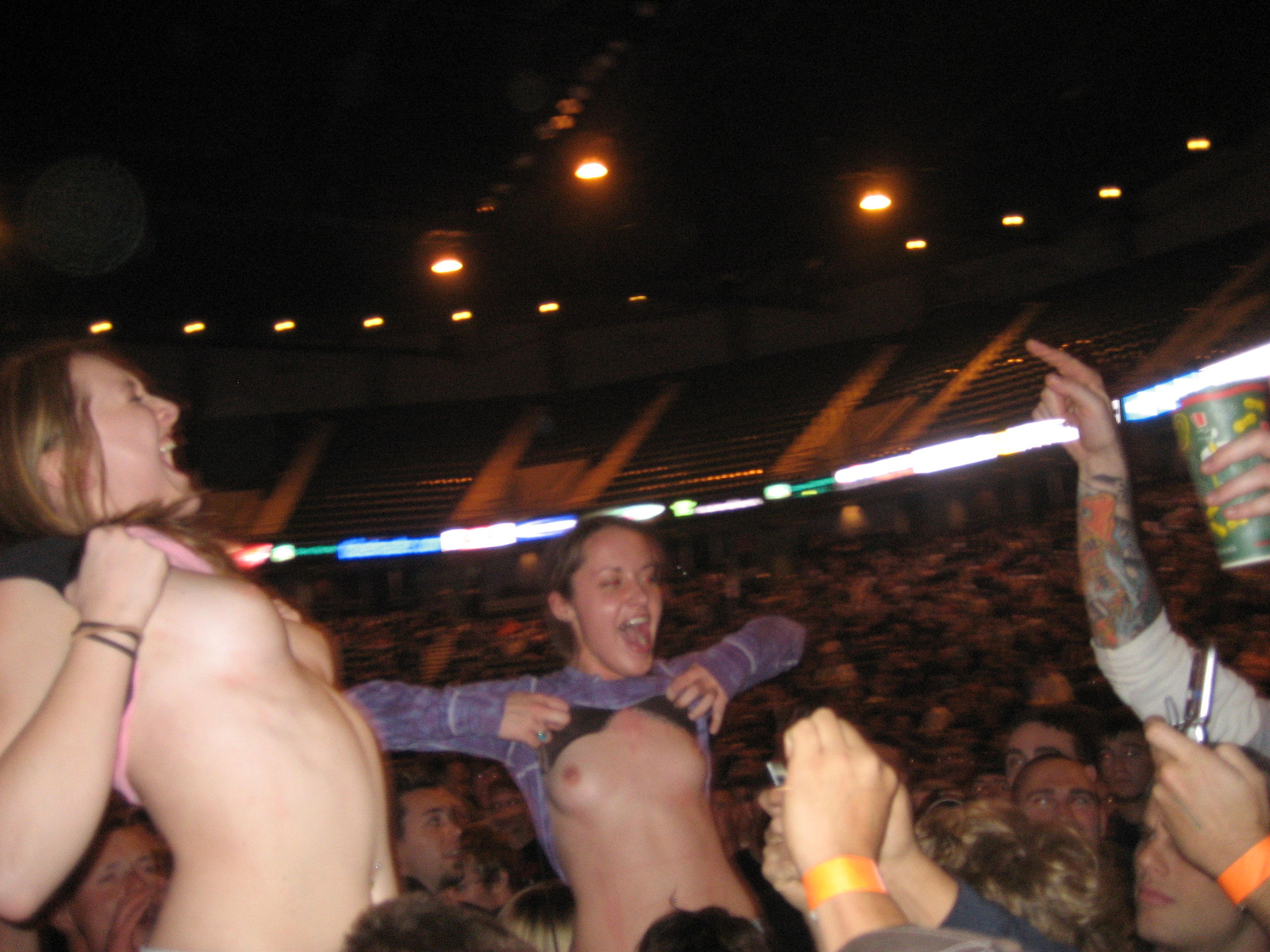 aaron runkle recommends flashing boobs at concert brian resnik add flashing boobs at concert image