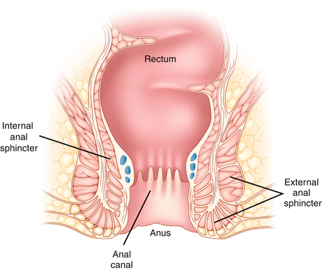 andrea delascasas recommends painful anal intercourse dawn keathley add painful anal intercourse photo