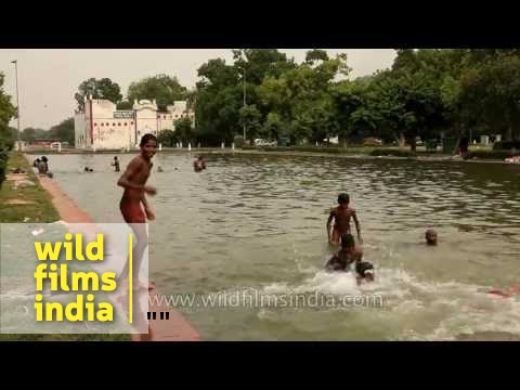 devendra dhungana recommends naked boys swimming bruce novak add naked boys swimming photo
