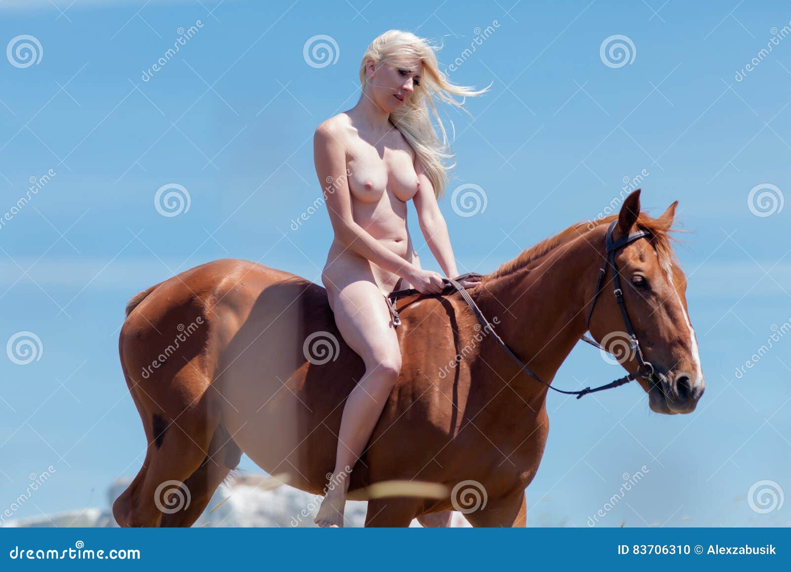 david philippi recommends naked horseback andy busa add Violet myers first anal photo
