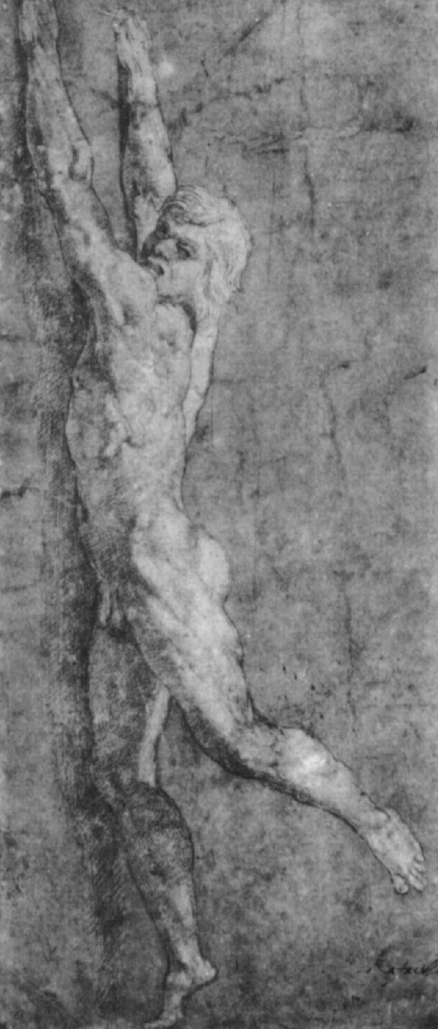 david althorpe add men hanging naked image
