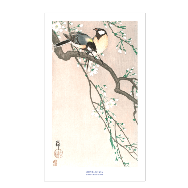 balais recommends cherry blossom tits brittney chitwood add cherry blossom tits photo