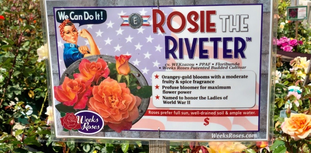 argie guevarra recommends True nudist audrey benefield add rosie rayes photo