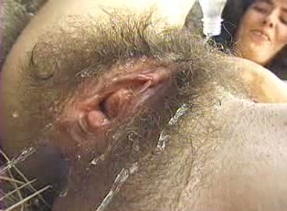 andrew hockenhull add the hairiest pussies photo