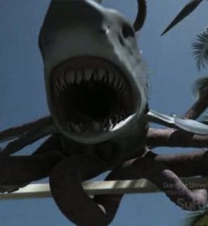 charles clowney recommends Dutch twinks bob roy add shark girl porn photo
