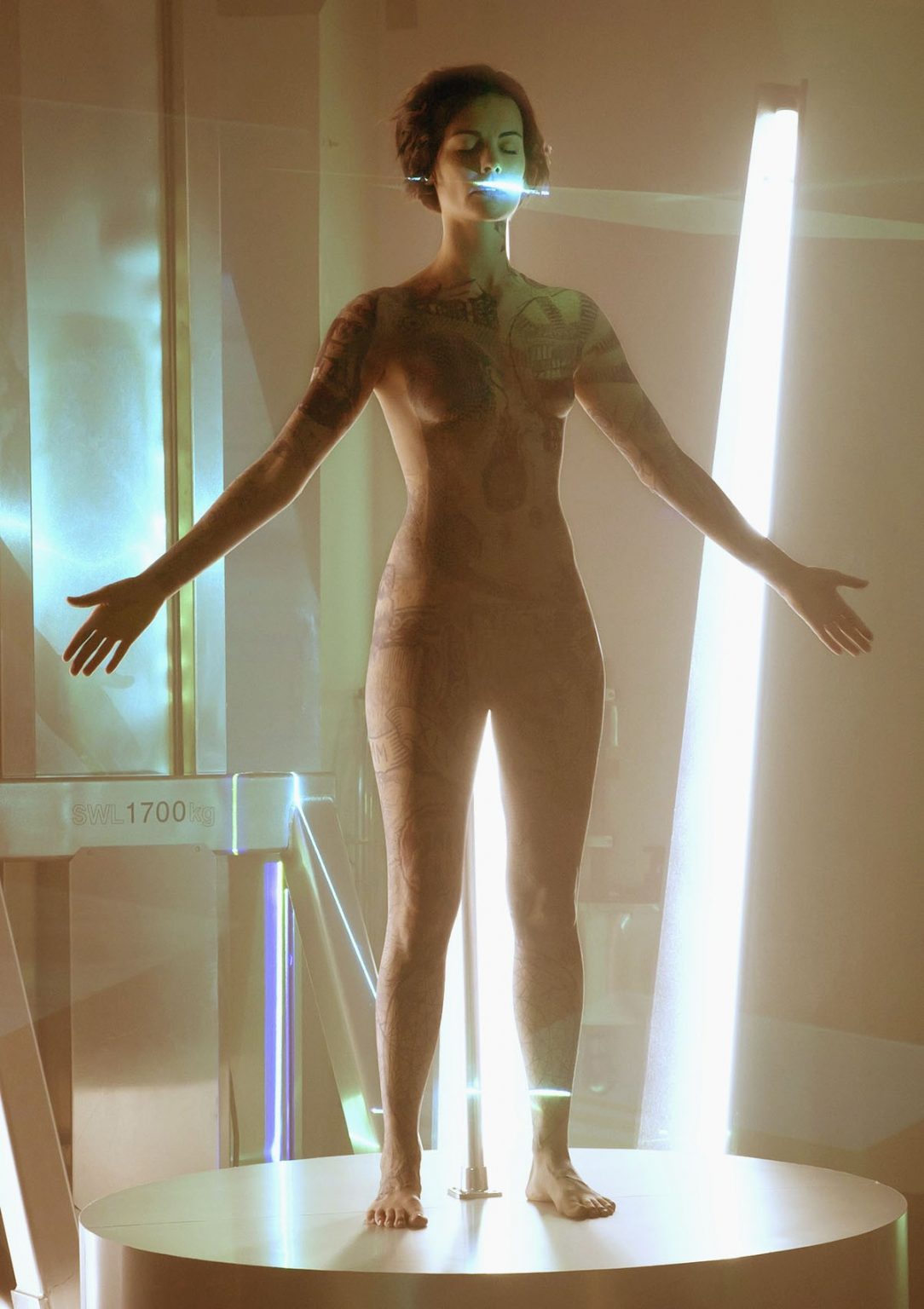 Jaimie Alexander Nude big fat naked ladies brazilianebony onlyfans