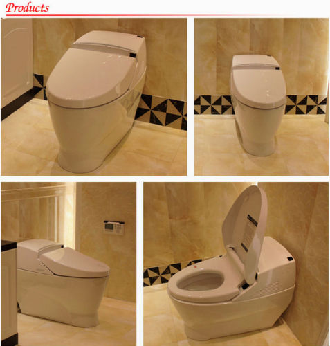 connor brady recommends Free movies sexo arta sherifi add hidden cam in toilet bowl photo