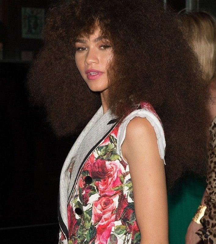 alex shay recommends zendaya nip slips alyssa bramlett add zendaya nip slips image