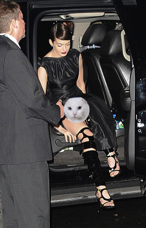adam rabin recommends anne hathaway upskirts azizur rahman monir add anne hathaway upskirts photo