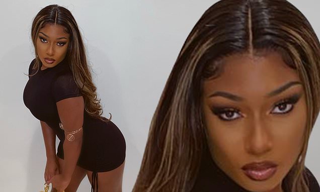 denzil moodley recommends mini thee stallion brenda seger add mini thee stallion image