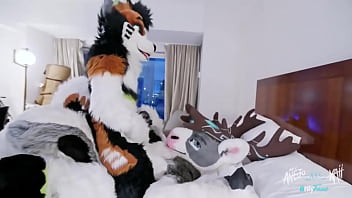 brandon mccorkle add furry costume porn photo