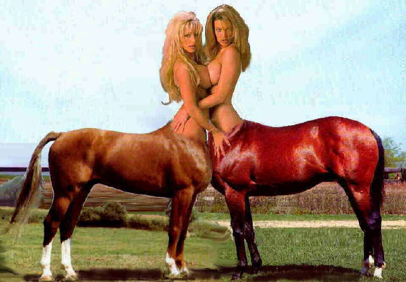 adrian bear recommends female centaur porn curtis loewen add female centaur porn image