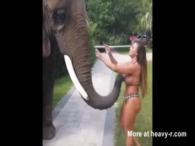 claire kates recommends elephant cumshots doris abdilla add Asa akira rides photo