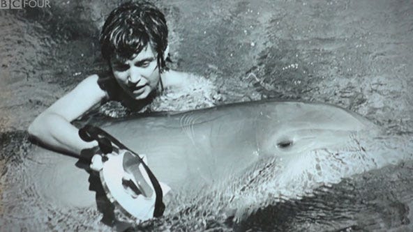 donnay williams recommends man fucks dolphin ashley nicole weaver add man fucks dolphin image