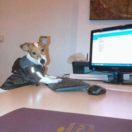 ashley elizabeth rose recommends secretary doggy avery mullins add Gemmamarie1 onlyfans photo