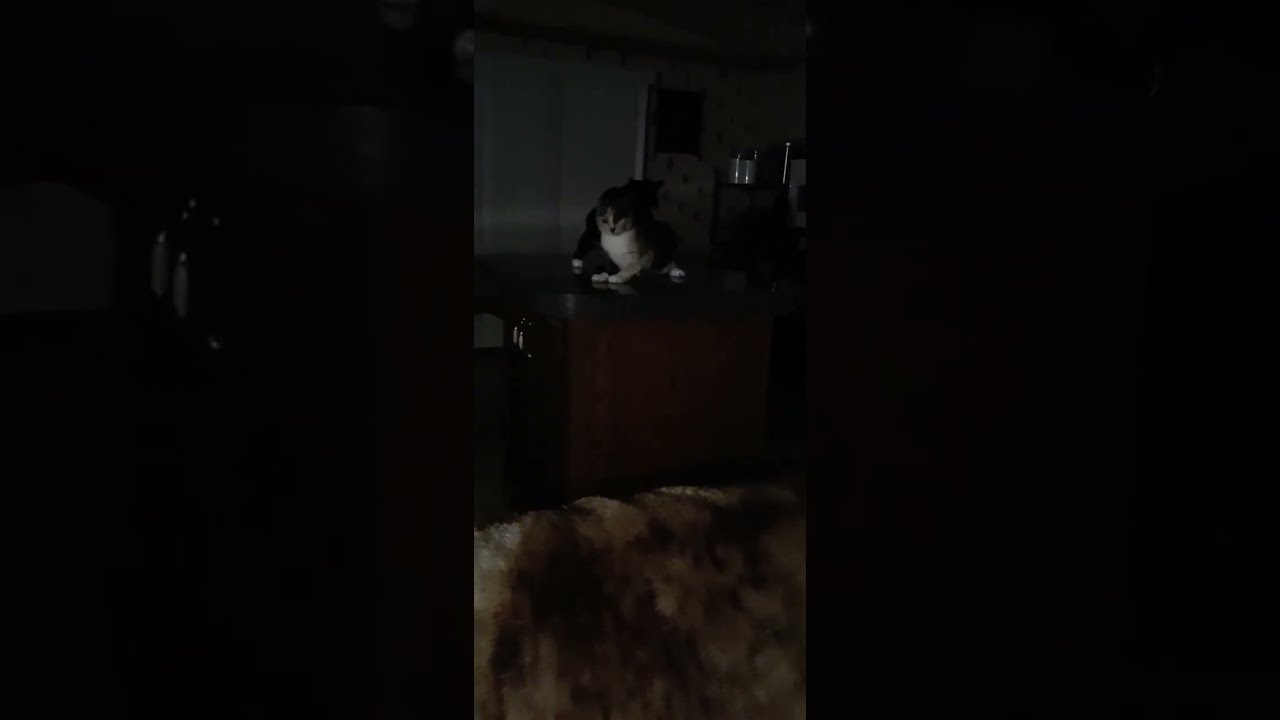 Massage Gone Wrong Videos japanese mom son sex rose monroe hd
