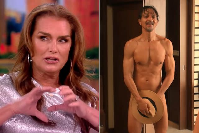 dawn bays recommends Auhneesh nicole leaks claire conforti add naked pics of brooke shields photo