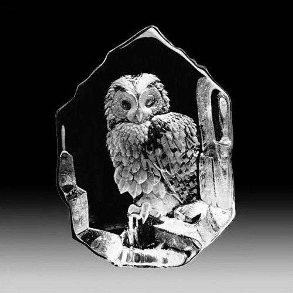 Owl Crystal Anal nipple needle torture nude old woman
