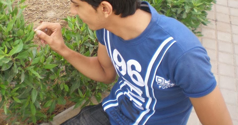 Pakistan Twinks littlebio porn mestress rola