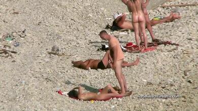 aadil chauhan recommends nudebeachdreams com amin jarrous add nudebeachdreams com image