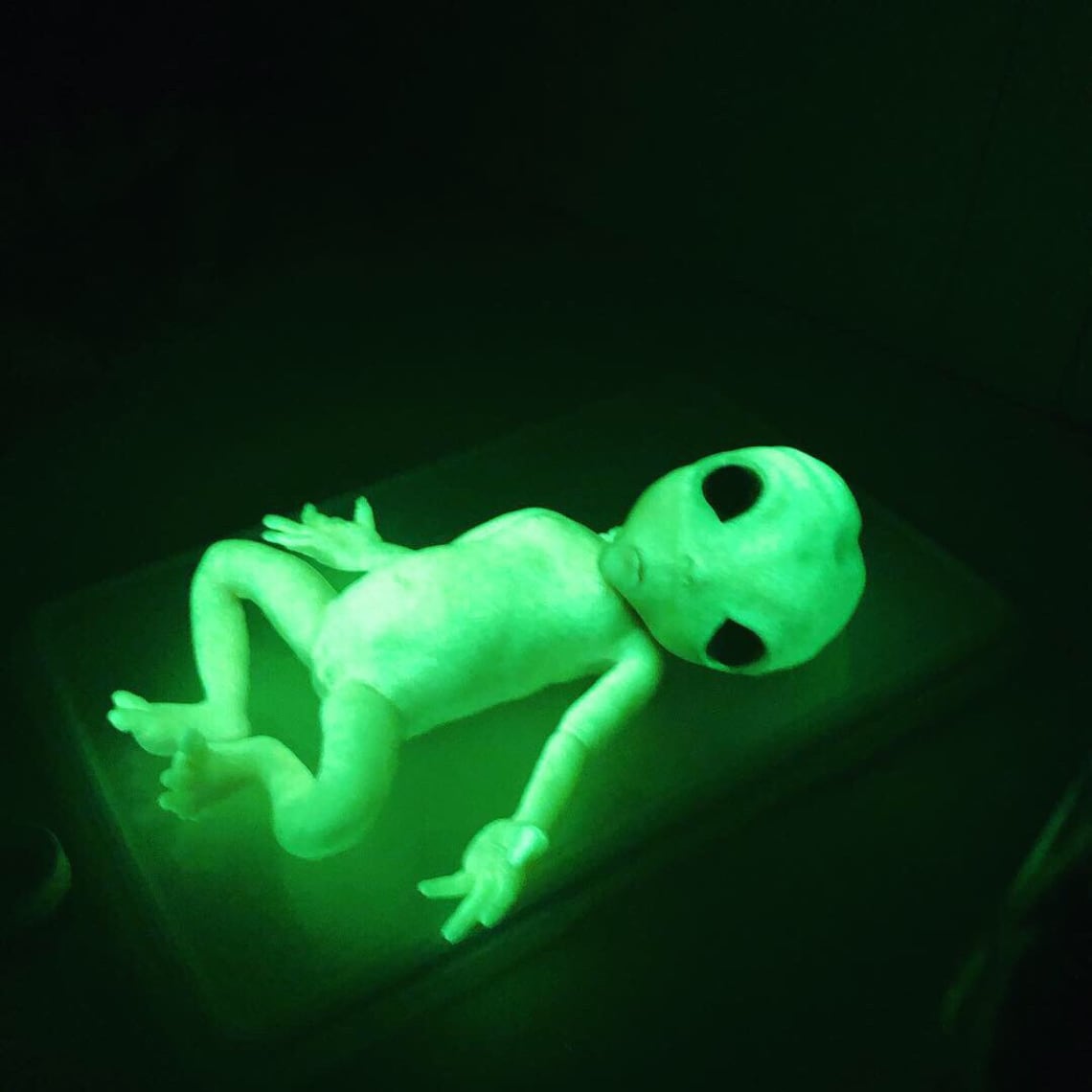 Baby Alien 4some Leaked online chat with pornstar michelle wilson pantyhose