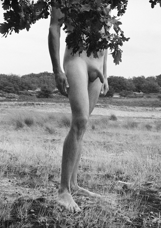 dontez simpson recommends nudes in nature craig casselman add Naked live stream photo