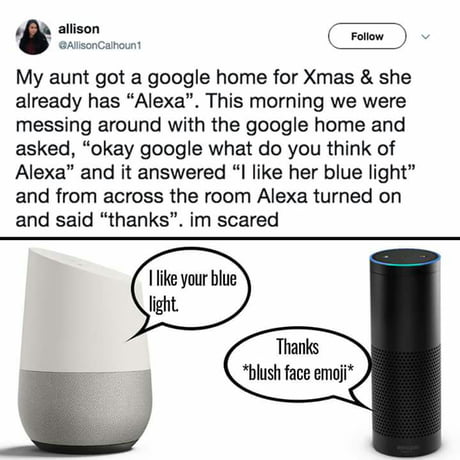 adam eager recommends Anal burglar ali akbar k add alexa moaning photo