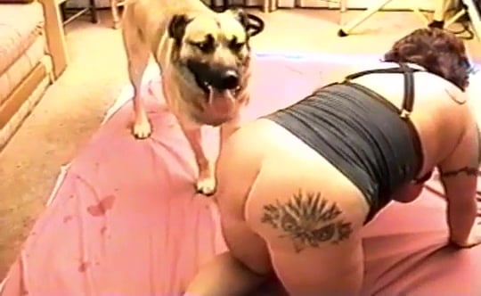 Big Porn Tube charity crawford tits new nina mercedez videos