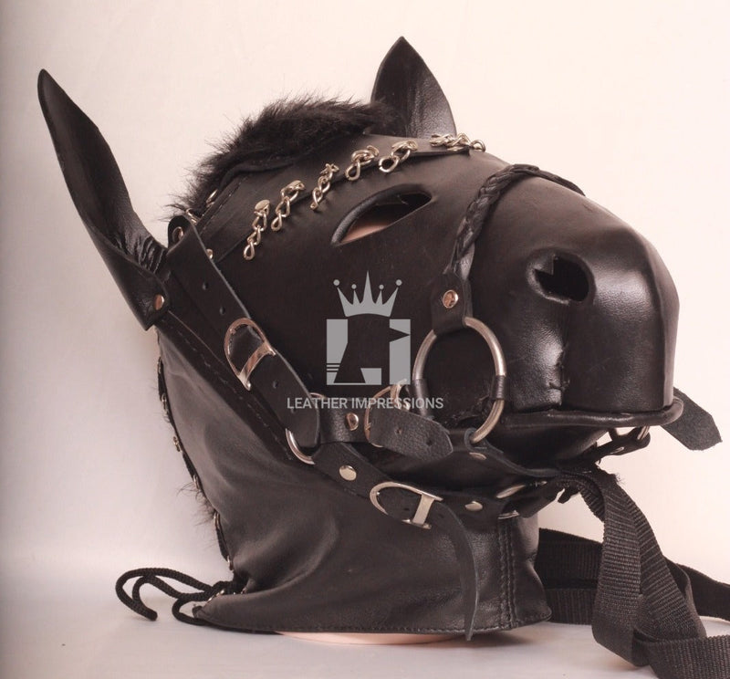 debbie ridgewell recommends pony play bondage christopher durham add pony play bondage photo
