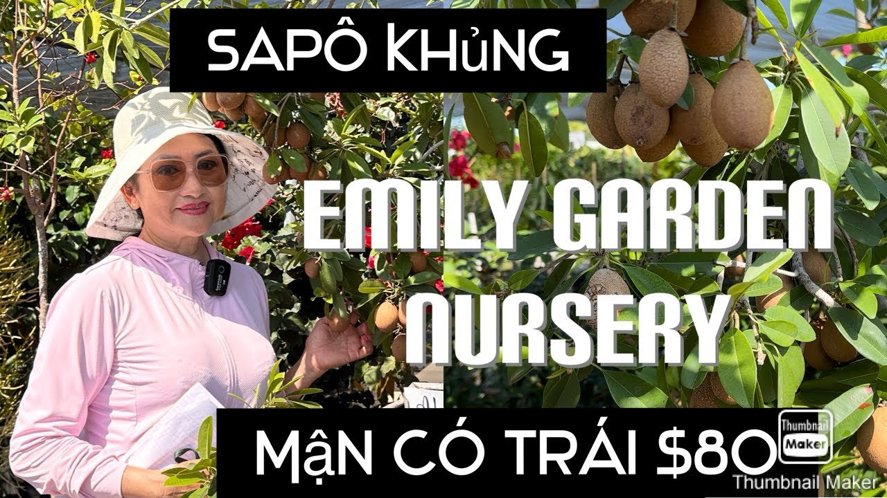 aura ochoa recommends emmaleigh and co anna may aguilar add emmaleigh and co image