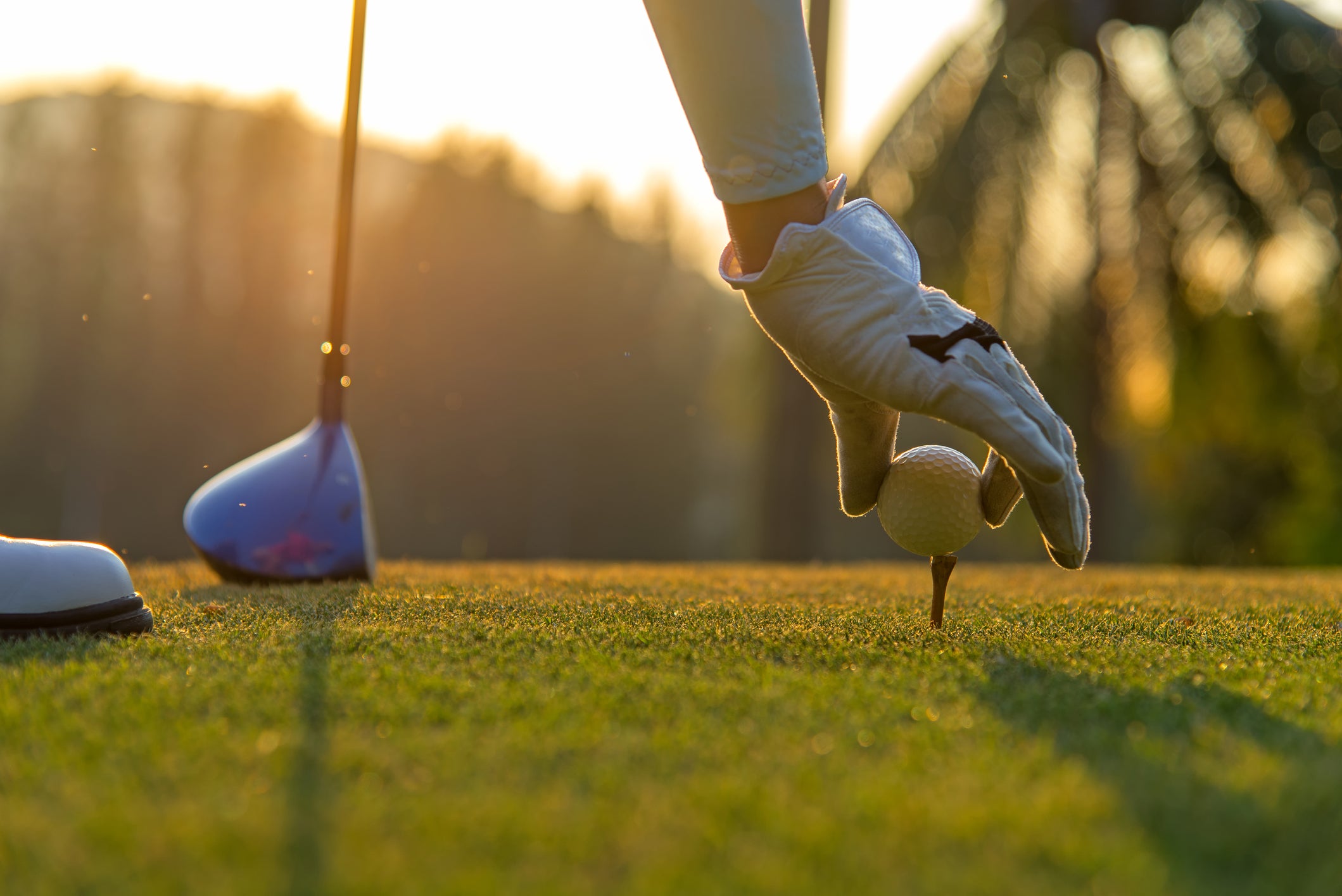 alex de la cerna add nude women golfers image