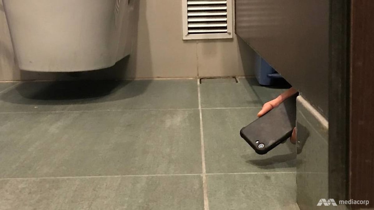 dale kasal add voyer toilet photo
