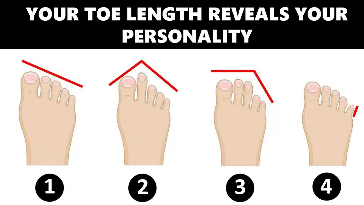 bob fiedler recommends all you can feet amit horowitz add all you can feet photo