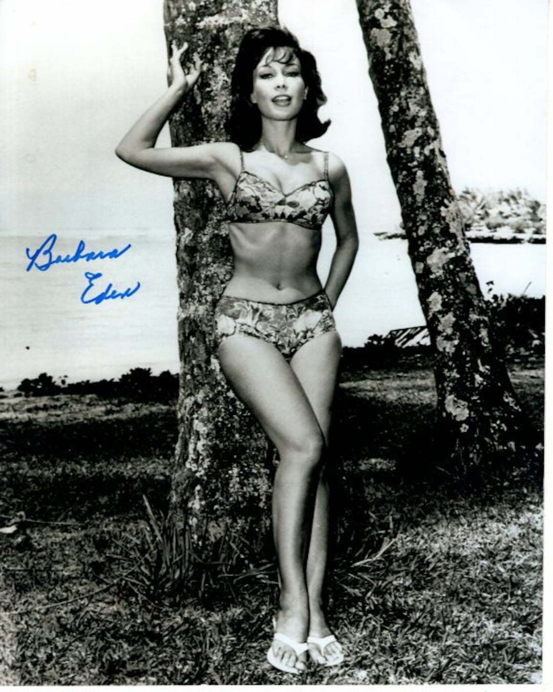 bill bergdoll add barbara eden nude pics photo