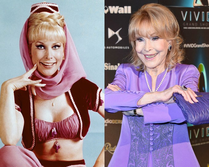 adam morelli add barbara eden nude pics photo