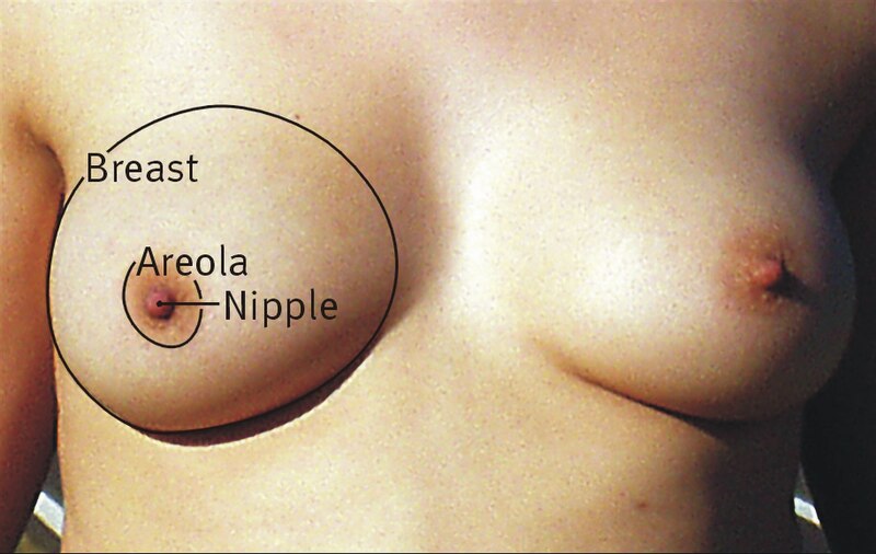 dina iglesias recommends Backpage florence beth westcott add big oily titties photo