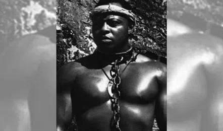 dima said recommends black slave porn allie moreno add Sexy asspics photo