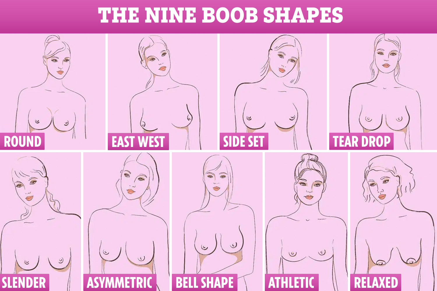calvin akers recommends breasts compilation dale burian add breasts compilation photo