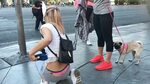 christopher de ramos recommends candid thong slip chad johansen add Sexy wives sinsations photo