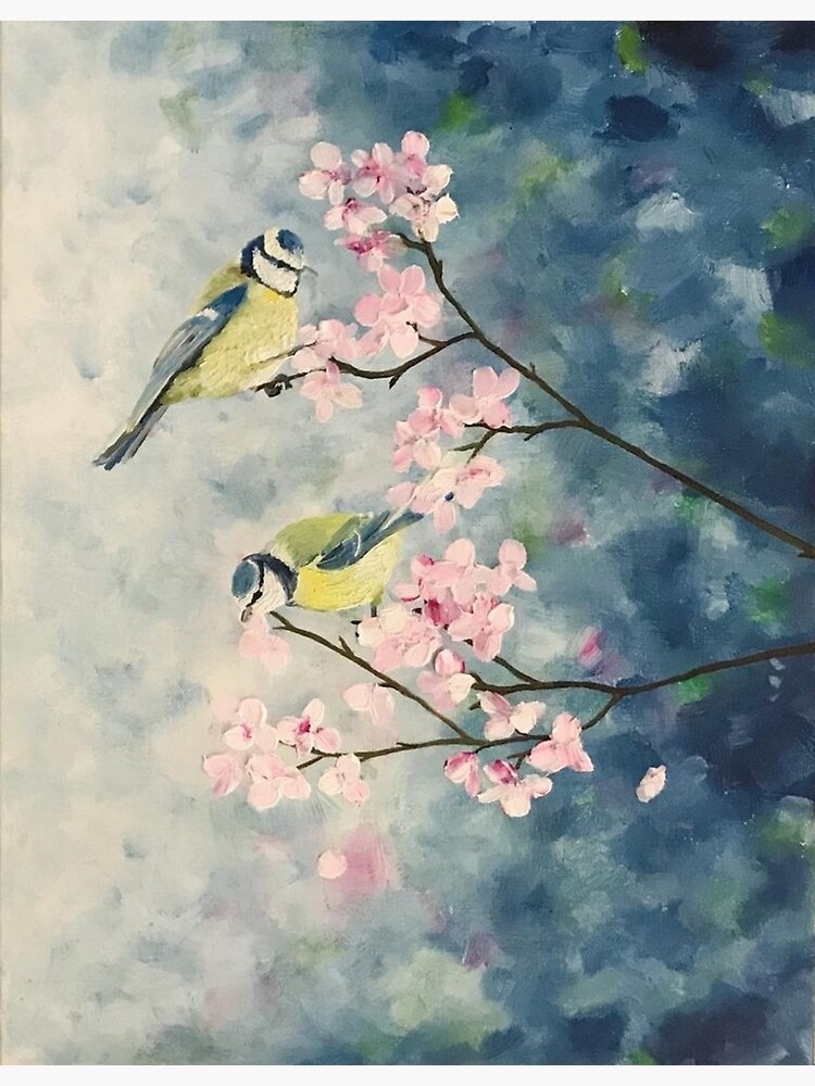christina guardiani recommends Blake blossom gangbang avihai ofir add cherry blossom tits photo