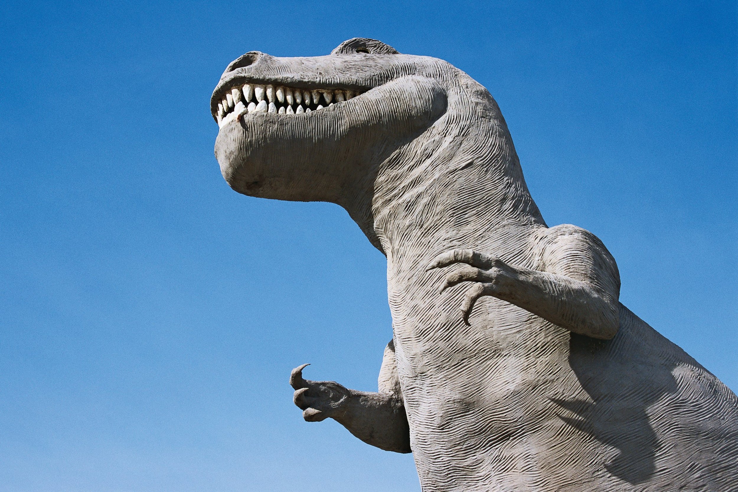 Dino Rube princess jadde porn marilyn chambers porn videos