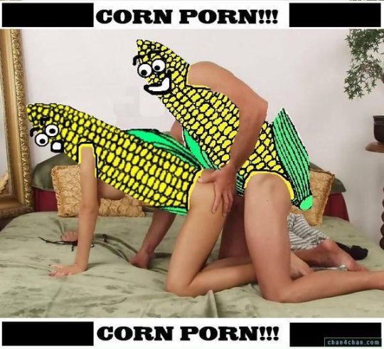 denise farrelly recommends corn and porn darlene gonzalez add corn and porn photo