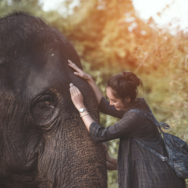 andrea knopp recommends Nude undressing cloe jones add elephant cumshots photo