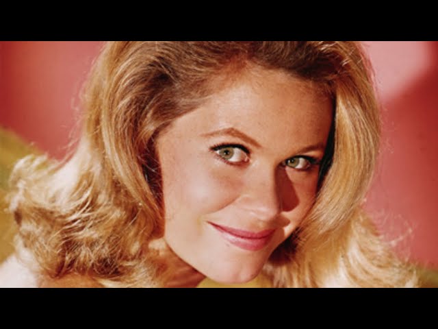 alice hilton recommends elizabeth montgomery sexy pics aan doank add elizabeth montgomery sexy pics photo