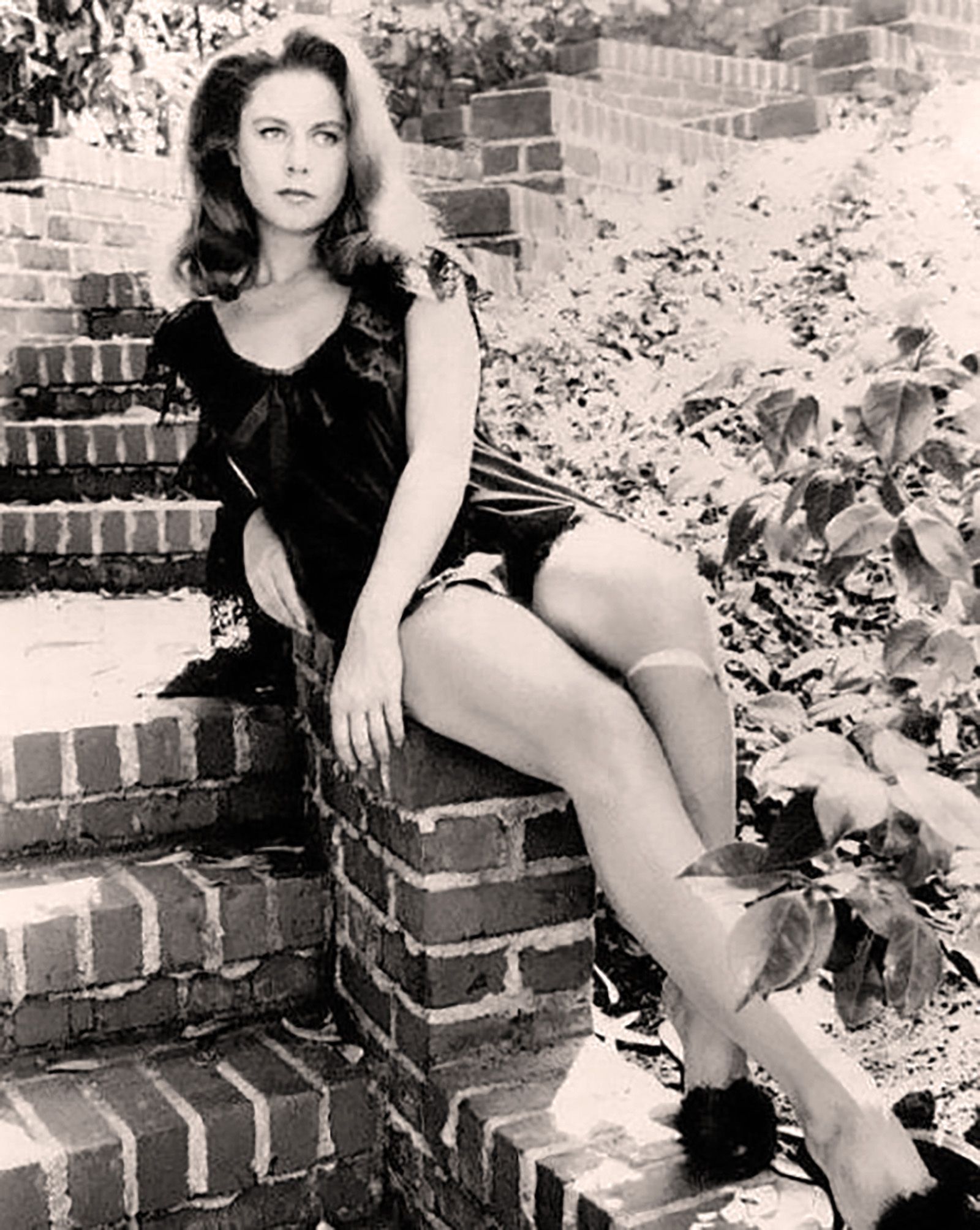 Elizabeth Montgomery Sexy Pics bokep jilbab terbaru 2023 shady spa full