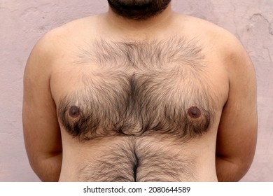 allan houston add fat hairy dude photo